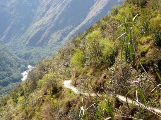 Trek KM104 - Chemin en balcon