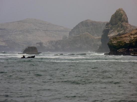 Ile Palominos - Côte de San Lorenzo