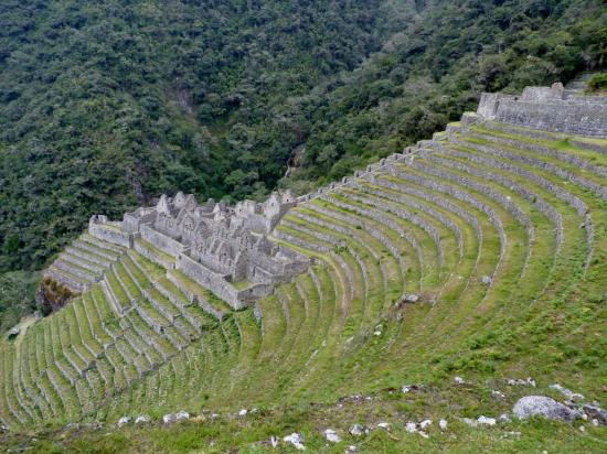 Trek KM104 - Wiñay Wayna - La cité en contrebas