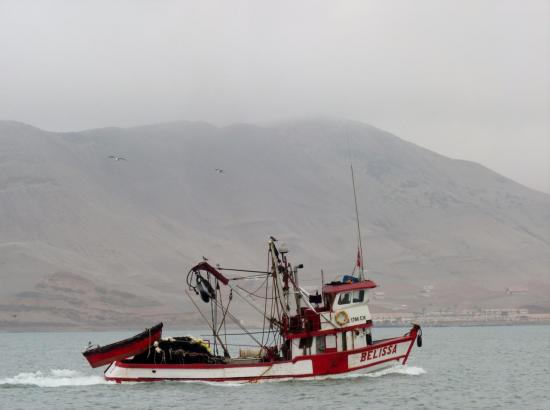 Ile Palominos - Bateau de pêche
