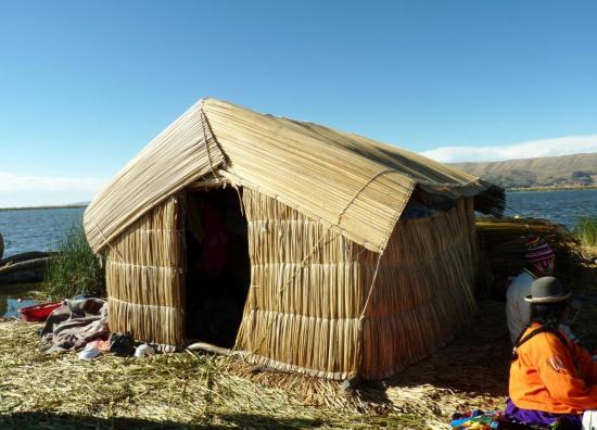 Ile Uros - Habitat